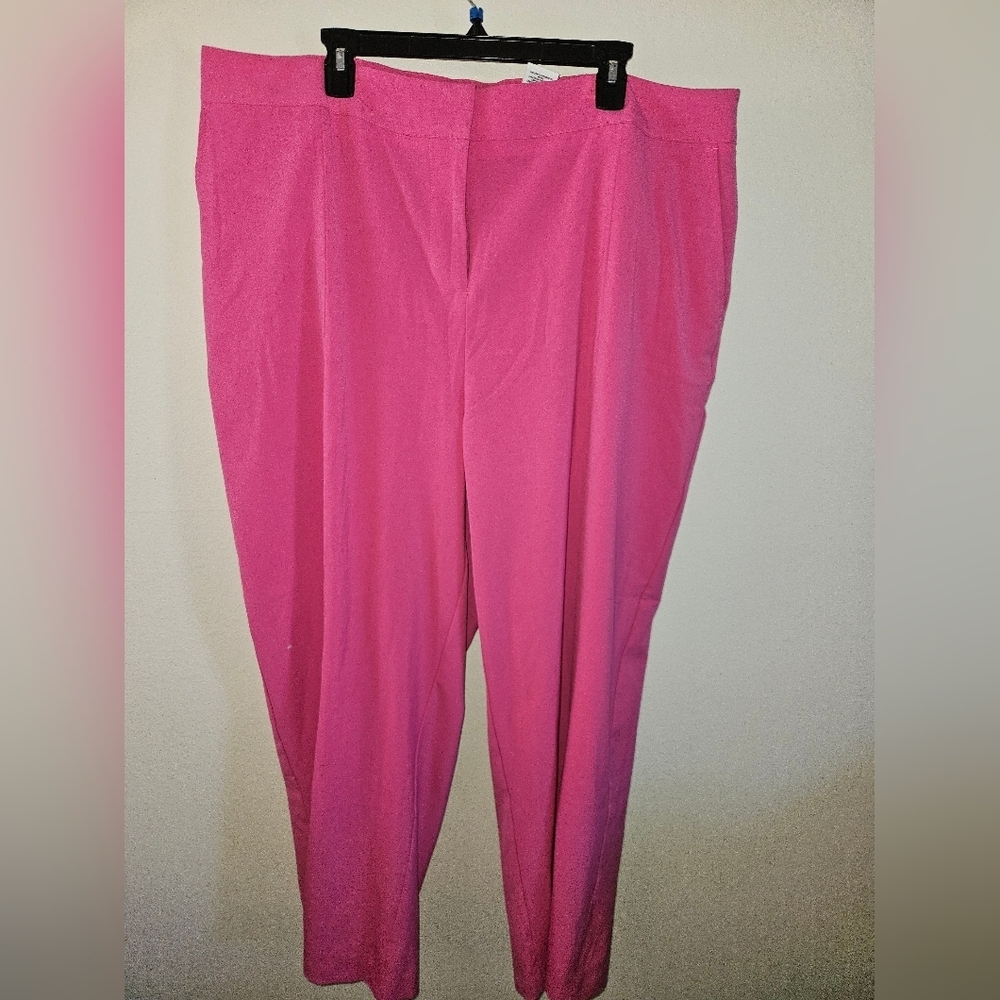 Ruby Rd. Womans Raspberry Colored Pants Size 24w